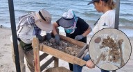 Oseamentas encontradas en Guaymas podrían tratarse de restos arqueológicos, declara FGJE