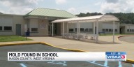 Mold found in New Haven Elementary