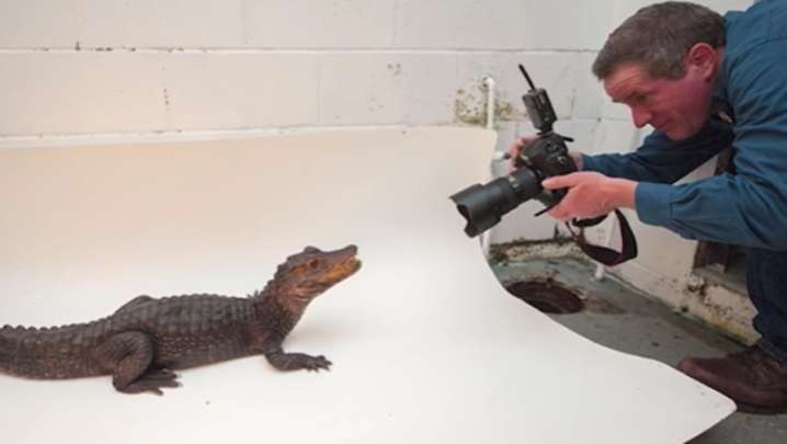 This photographer has snapped photos of 17,000 different species