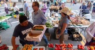Sunday at Schenectady's Greenmarket. Pictures from the day