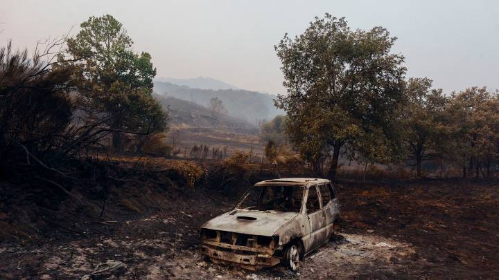Galicia ante los fuegos de propagación extrema: «Ata as carballeiras están secas»