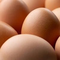 Lay off our eggs market, French producers tell Ukraine
