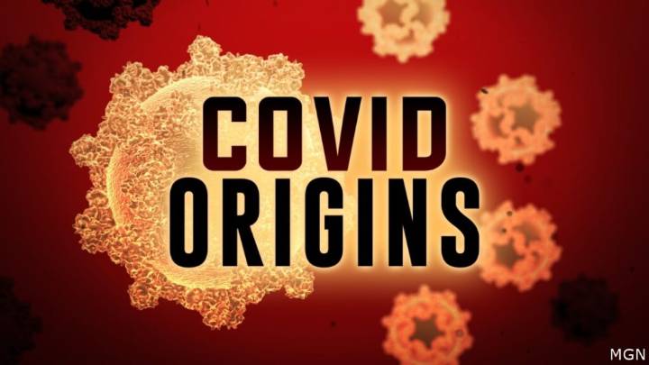 Former Washington Post fact-checker admits error on COVID