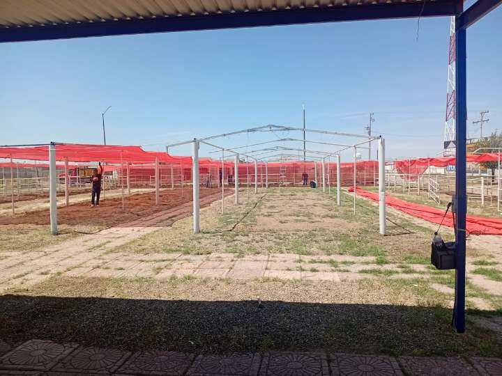 Servicios Municipales trabaja en terrenos de la Expoferia Santa Rosalía 2025, alistan corraletas para exposición ganadera