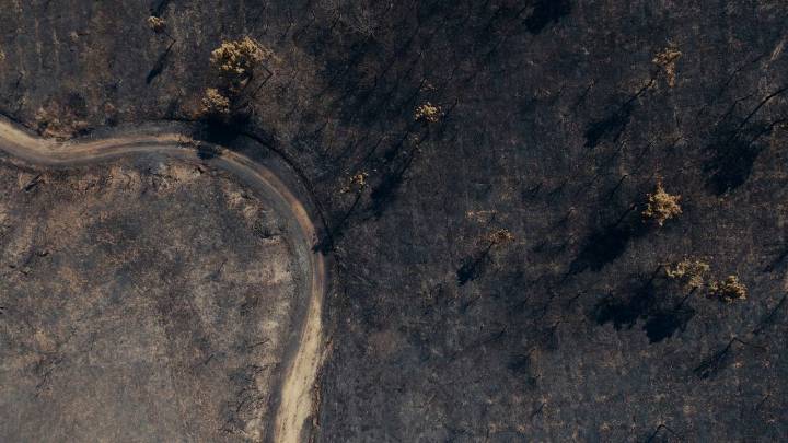 Mejoran los fuegos en Ourense pero dejan imágenes desoladoras