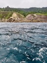 La Guardia Civil identifica a un pesquero cántabro como presunto autor del descarte ilegal en aguas de Ulia