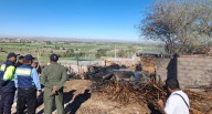 Arequipa: Incendio deja cuatro viviendas destruidas y cinco afectadas en distrito La Joya