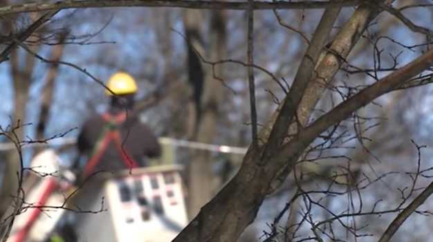 A look inside the tedious but essential job of a lineworker
