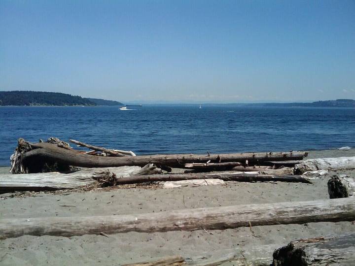 State terminates Vashon kelp farm’s aquatic lease