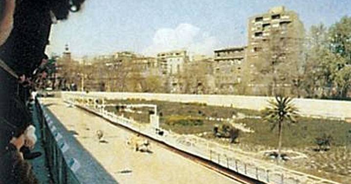 El antiguo Canódromo de Zaragoza: la historia de un lugar ya desaparecido