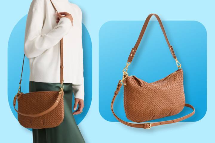 This Quince Crossbody Bag Fits My Plus