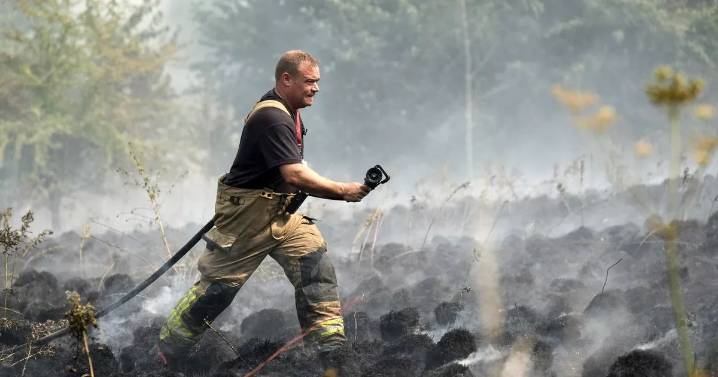 Brits warned to avoid BBQs as UK faces sweltering heatwave with highs in mid