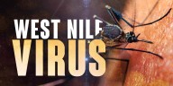 West Nile Virus case in northern Iowa confirmed