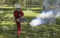 Juárez, en alerta amarilla por dengue