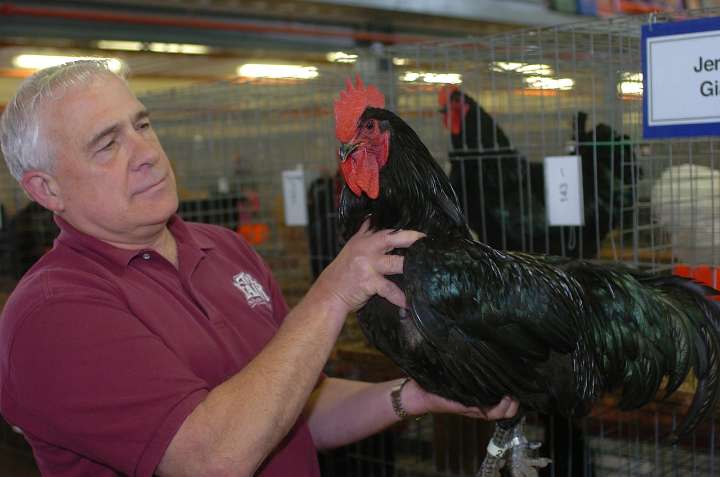 Today’s obituary: John Pierce, 81, was a teacher and superintendent at NYS Fair’s Poultry Building