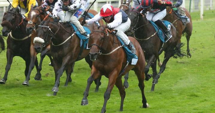 'York legend can kick off Ebor Festival with 20-1 shock' – Jason Heavey's day one tips