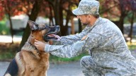 Heart of a Veteran adds animal resources program