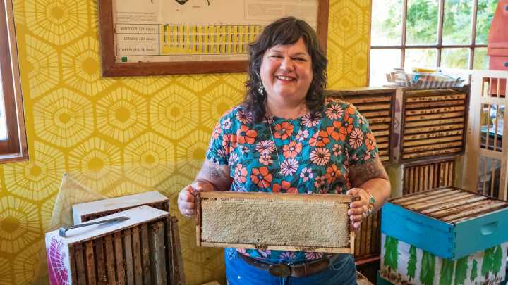 How this Lane County beekeeper found her hive