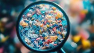 Experts Sound Alarm Over Dangerous Health Risks from Microplastics and Nanoplastics