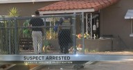 Tucson police catch suspect in domestic violence case