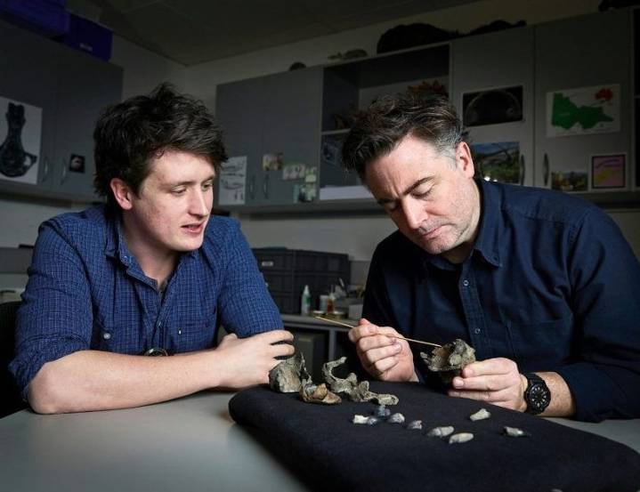 Scientists unearth 'cute' but fearsome ancient whale