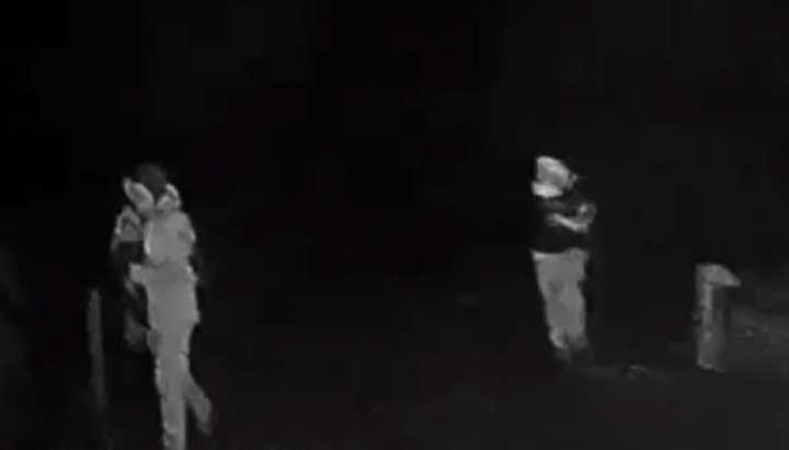 Impactantes imágenes: el video del ataque en Victoria que terminó con guardia forestal fallecido
