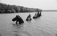 A five minute guide to the Loch Ness monster