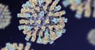 Back-to-school: Utah health leaders work to prevent the spread of measles