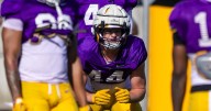 LSU football transfer portal player rankings before Clemson