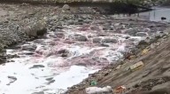 Río Rímac sorprende nuevamente con aguas rojizas y genera alarma en vecinos