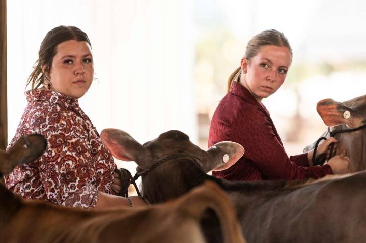Butler Farm Show Results: Horses