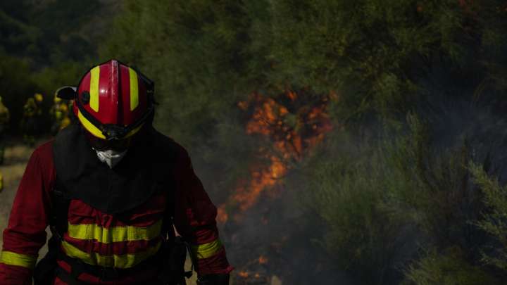 Oleada de incendios en España: "¿Quiénes están prendiendo y qué intereses espurios hay?"