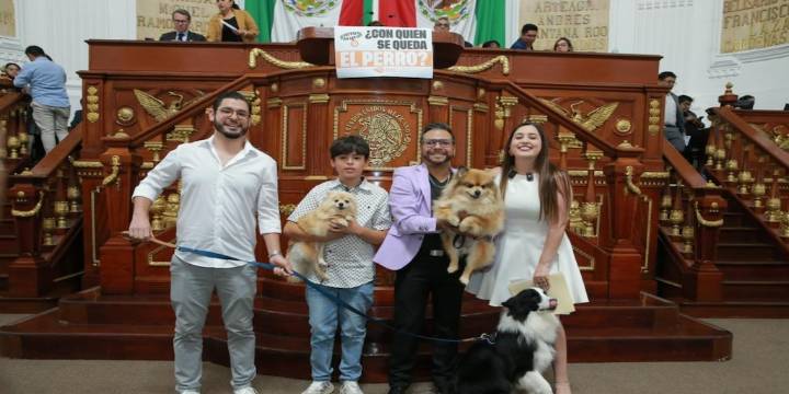 ¿Con quién se queda el perro?: Aprueban ley custodia y manutención de mascotas en divorcios en CDMX