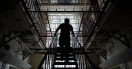 The hidden Devon role protecting prisoners you’ve never heard of