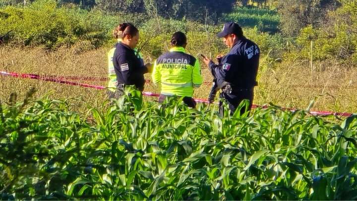 Alerta. Encuentran cinco cabezas desolladas en terrenos de Ixtacuixtla, Tlaxcala