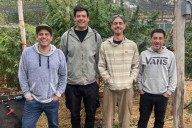 “Sembramos casas”. Son emprendedores y con un cultivo crearon un supermaterial para la construcción