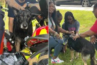 Dog Missing for 6 Years Reunites with Family After Firefighters Rescue Her (Exclusive)