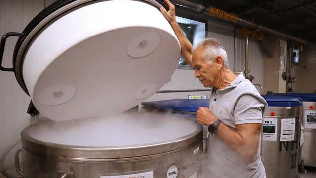 Harvard scientists say research could be set back years after funding freeze