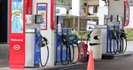 Petrol prices 'could fall to 120p a litre' after first drop in months