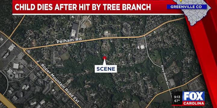 Coroner: Upstate 3-year-old hit by fallen tree branch while playing in yard