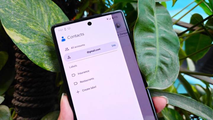 Experience the new material 3 design in Google Contacts: What’s changed?