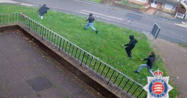 Horror moment dog walker chased down by three men before being stabbed to death