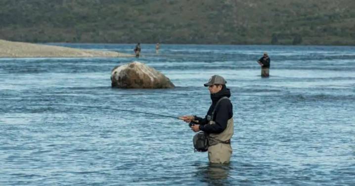 ¿Qué tamaño y peso puede alcanzar el pez exótico que llegó al río Limay desde el Atlántico?: el gigante que alertó a Neuquén