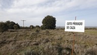 Los Ecologistas exigen la suspensión de la caza en los terrenos afectados por el fuego