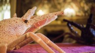 Planes para despedir agosto: latidos de danza, acrobacias circenses y últimos días de 'Flamboyant'