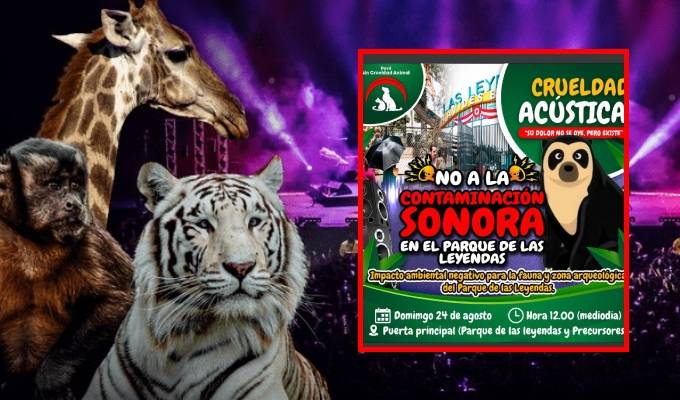 Convocan protesta contra Arena de Lima: exigen cancelar obra por amenaza a fauna y patrimonio en Parque de las Leyendas