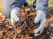 Cómo hacer compost casero, paso a paso sin malos olores: el método minimalista que funciona