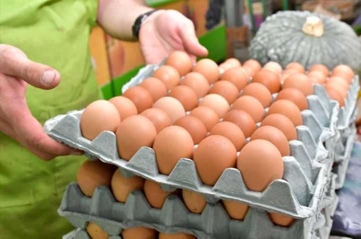Es récord el consumo de huevos a nivel nacional: cuales son los beneficios