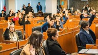 El bloque de los "peluca" debutó totalmente alineado con La Libertad Avanza