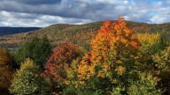 This MA town was named one of the best places for leaf peeping in 2025
